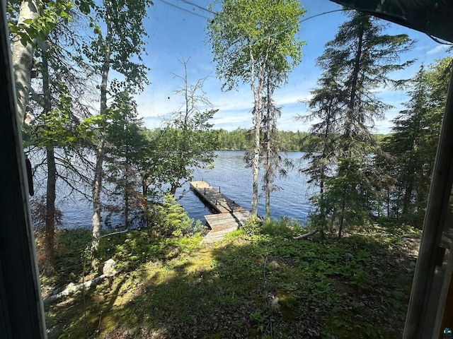 property view of water with a boat dock
