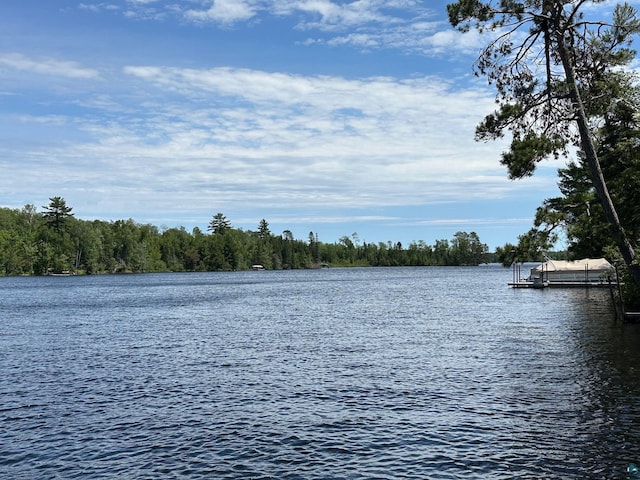 water view featuring a boat dock