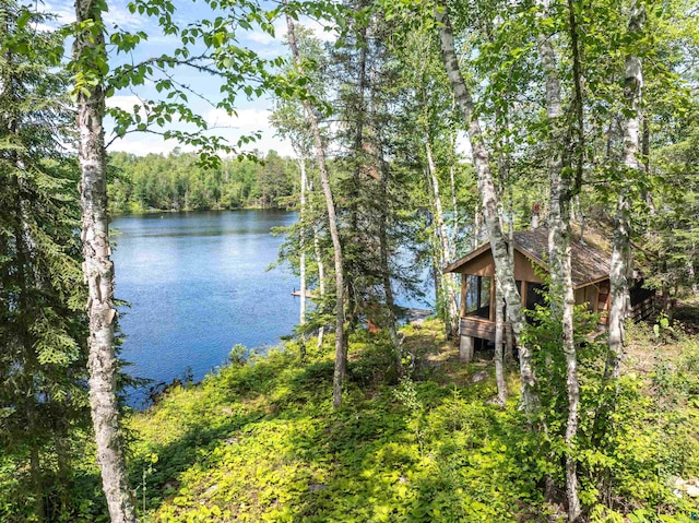 water view with a view of trees