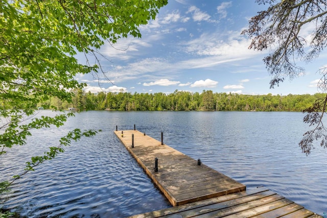 view of dock with a water view and a forest view