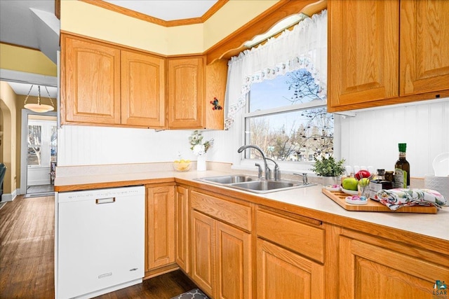 kitchen featuring a sink, dark wood finished floors, dishwasher, and light countertops