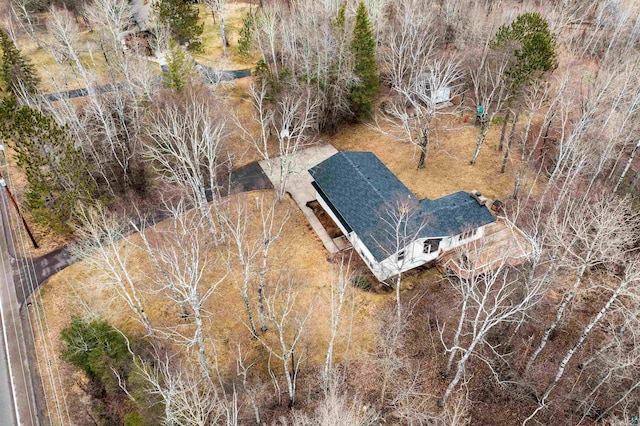 drone / aerial view