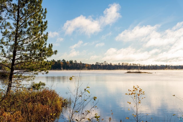 water view with a view of trees