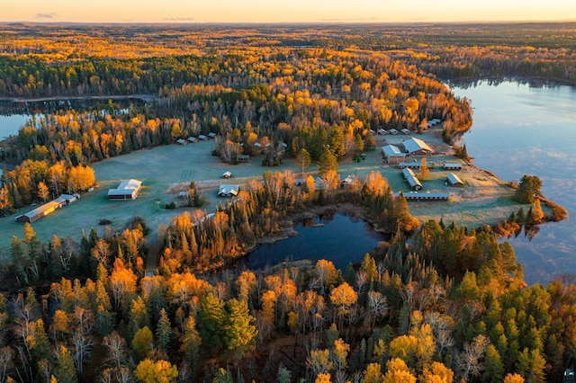 aerial view at dusk with a water view and a view of trees