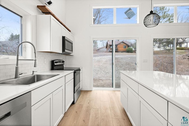 kitchen with appliances with stainless steel finishes, a wealth of natural light, a sink, and light wood-style floors