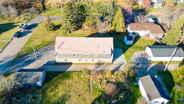 bird's eye view