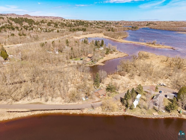 13005 Cass St, Duluth, MN 55808 - bird's eye view with a water view