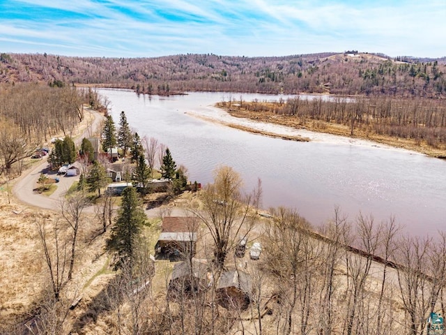 birds eye view of property featuring a water view and a wooded view