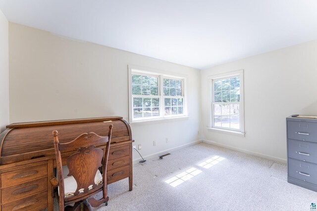 office area featuring baseboards and carpet flooring