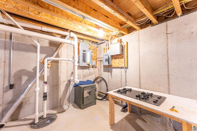 unfinished basement with electric panel