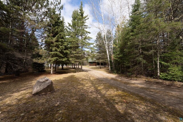 view of road with dirt driveway