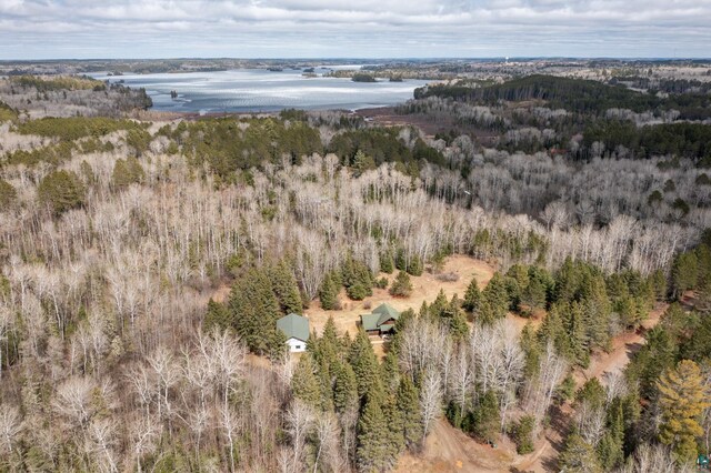 drone / aerial view featuring a water view and a view of trees