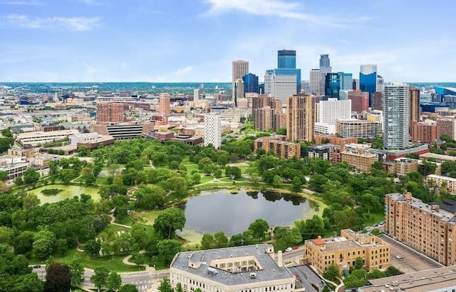 410 Groveland Ave Unit 1203, Minneapolis, MN 55403 - view of city featuring a water view