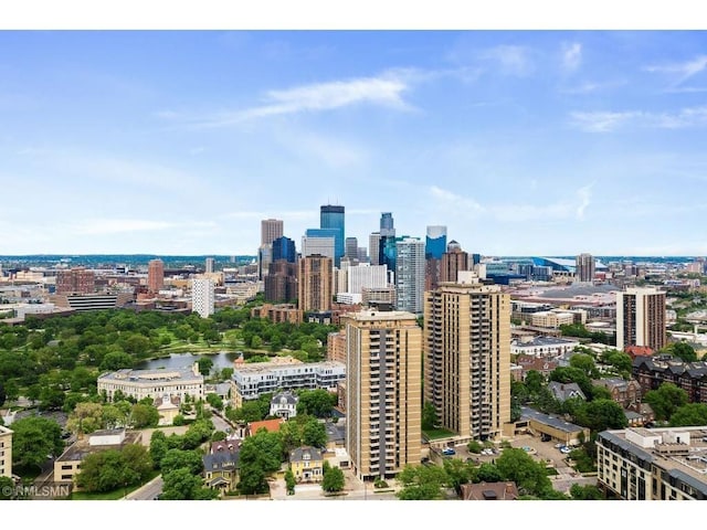 410 Groveland Ave Unit 1203, Minneapolis, MN 55403 - city view