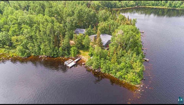 drone / aerial view with a water view and a view of trees