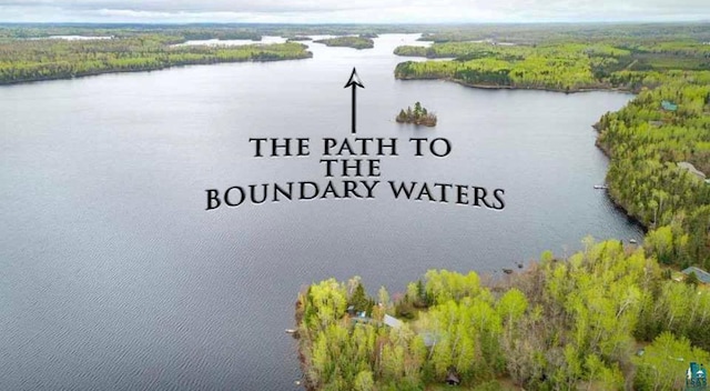 drone / aerial view with a water view and a forest view
