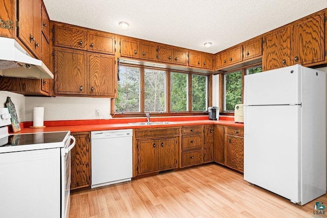 kitchen with white appliances, brown cabinets, under cabinet range hood, and a sink