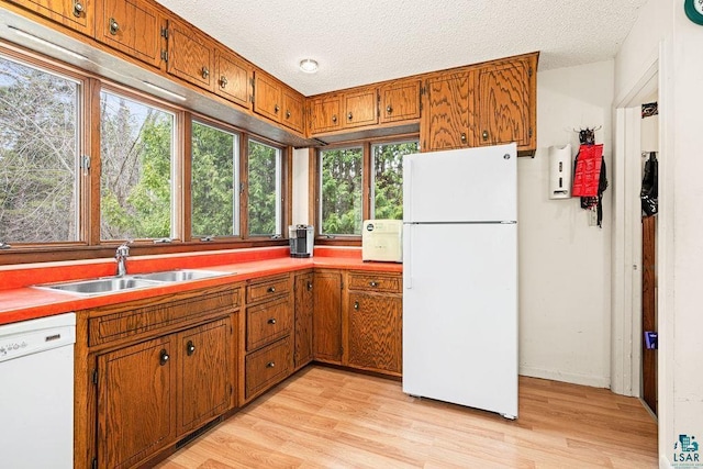 kitchen with light wood-style floors, a sink, brown cabinets, and white appliances