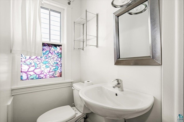 bathroom featuring a sink and toilet