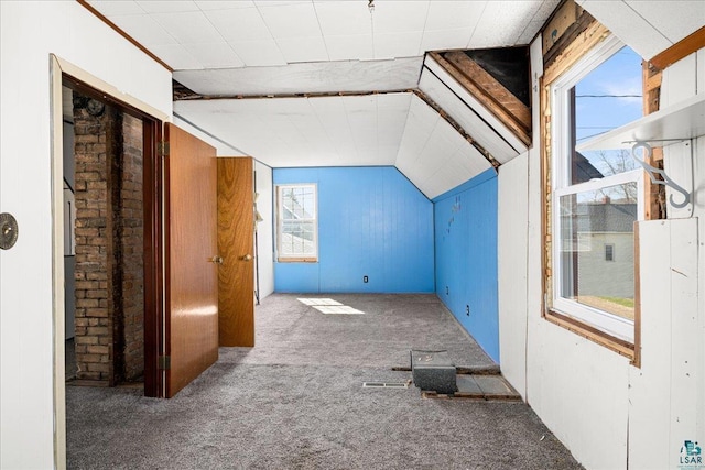 additional living space with carpet floors and vaulted ceiling