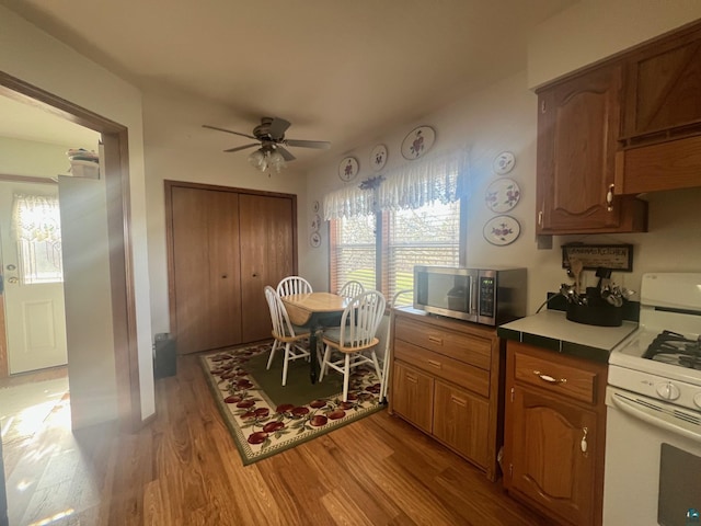 kitchen featuring light wood-style flooring, a ceiling fan, white range with gas cooktop, a wealth of natural light, and stainless steel microwave