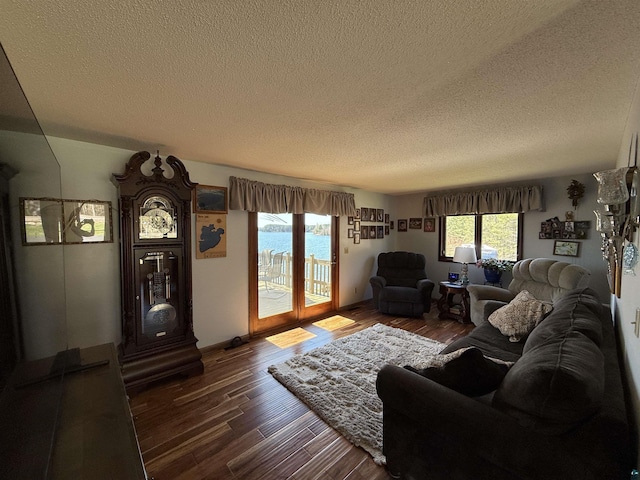 46040 State Highway 65, Nashwauk, MN 55769 - living area with dark wood-style flooring and a textured ceiling