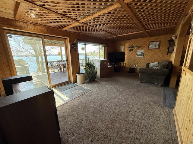 46040 State Highway 65, Nashwauk, MN 55769 - view of sunroom / solarium