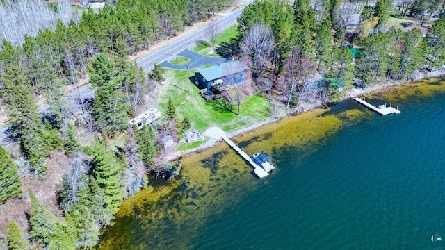 46040 State Highway 65, Nashwauk, MN 55769 - drone / aerial view featuring a water view