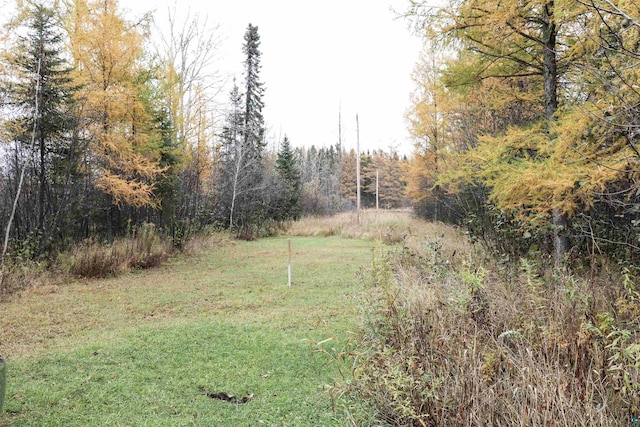 view of local wilderness with a forest view