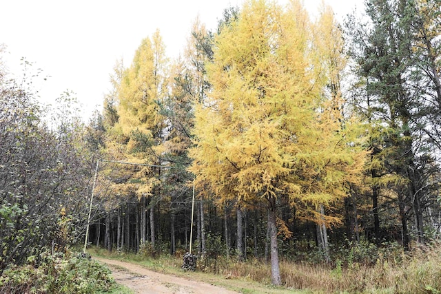 view of landscape featuring a wooded view