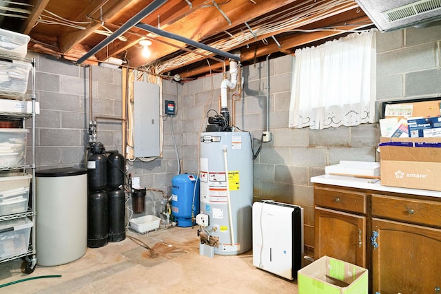 utilities with electric panel and gas water heater
