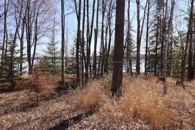 891XX E Romans Point Rd, Cornucopia, WI 54827