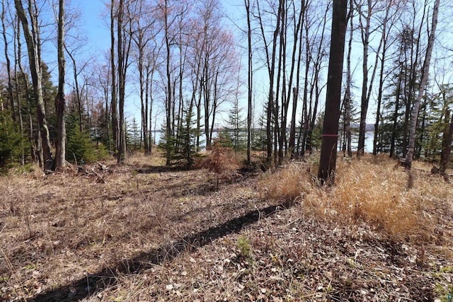891XX E Romans Point Rd, Cornucopia, WI 54827