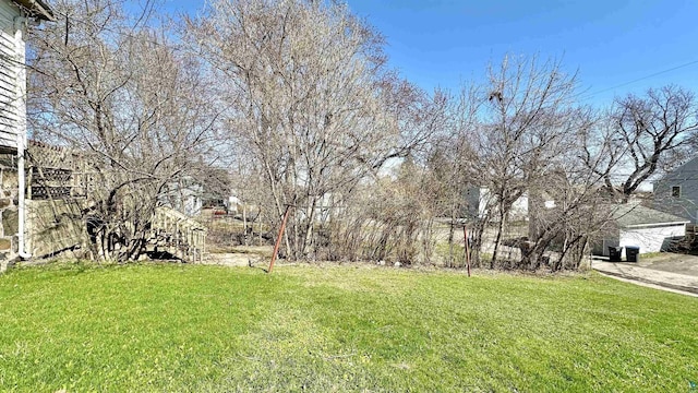 view of green lawn