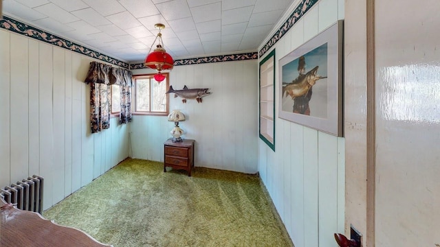 15 W 8th Ave, Grand Marais, MN 55604 - bedroom with radiator heating unit, carpet floors, and wood walls