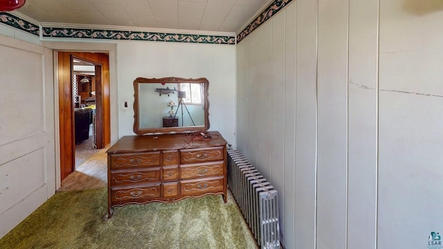 15 W 8th Ave, Grand Marais, MN 55604 - hall with crown molding, radiator, and carpet flooring