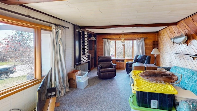 15 W 8th Ave, Grand Marais, MN 55604 - interior space with wooden walls and beamed ceiling