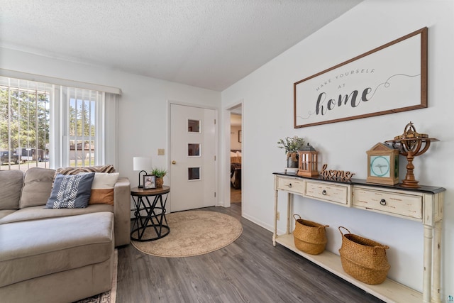 1741 Olsonville Crk, Carlton, MN 55718 - living room with dark wood-type flooring, a textured ceiling, and baseboards