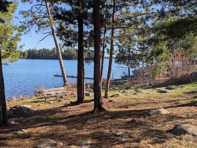 4994 Big Lake Rd, Ely, MN 55731