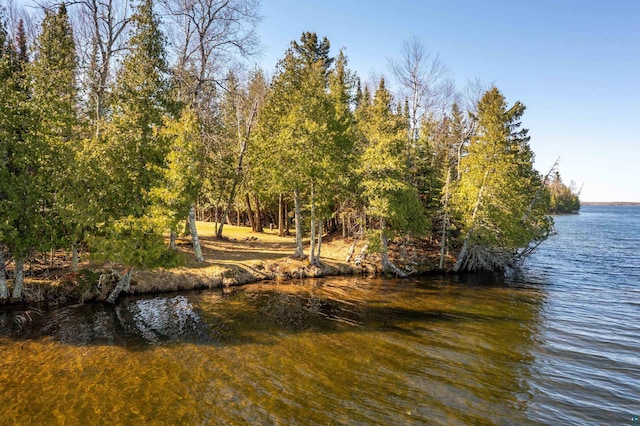 6661 Duncan Rd, Saginaw, MN 55779