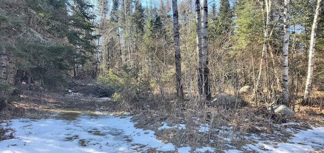 5729 Puncher Point Rd, Tower, MN 55790 - view of tree filled area