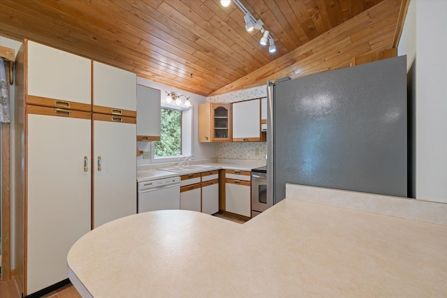 5729 Puncher Point Rd, Tower, MN 55790 - kitchen with stainless steel appliances, track lighting, wood ceiling, light countertops, and vaulted ceiling