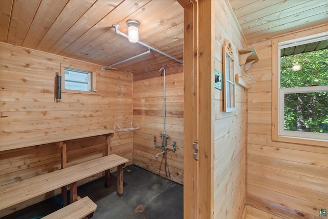 5729 Puncher Point Rd, Tower, MN 55790 - sauna with wooden ceiling and wood walls