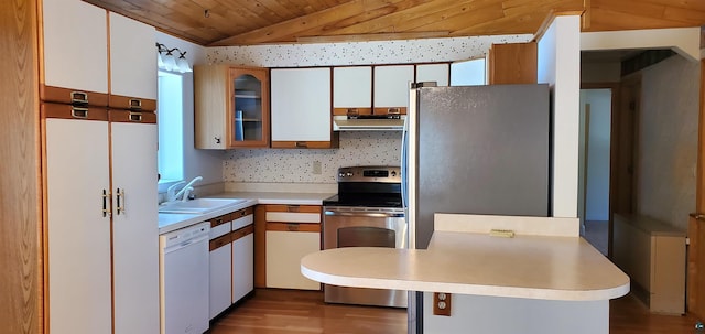 5729 Puncher Point Rd, Tower, MN 55790 - kitchen with stainless steel appliances, ventilation hood, a peninsula, wood ceiling, and light countertops