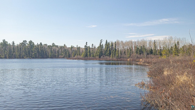 740 Halfway Rd, Ely, MN 55731