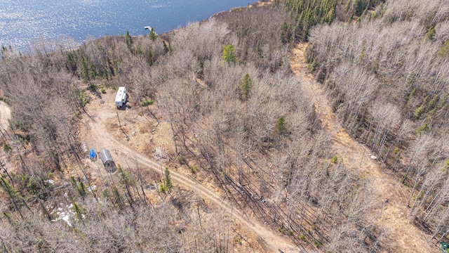 740 Halfway Rd, Ely, MN 55731