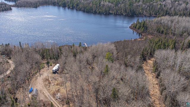 740 Halfway Rd, Ely, MN 55731
