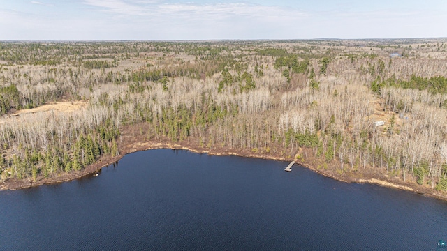 740 Halfway Rd, Ely, MN 55731