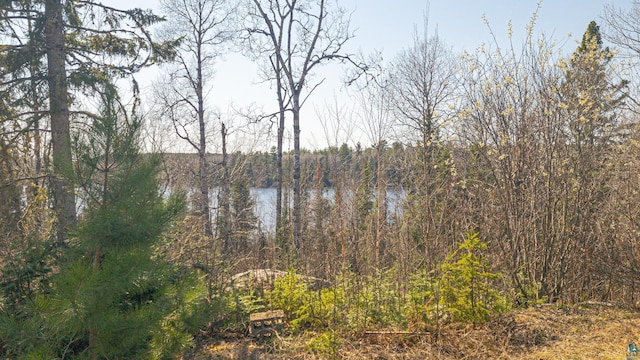 740 Halfway Rd, Ely, MN 55731