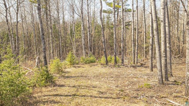 740 Halfway Rd, Ely, MN 55731
